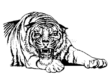 Growling tiger clipart - Clip Art Library