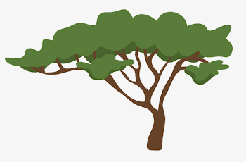 Growth In The Cliff-side Trees, Trees, Hardy, Tree PNG Image and ...