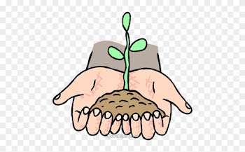 Growth, Seedling Germinating From Soil Royalty Free - Natural Science