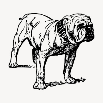 Grumpy bulldog drawing clipart, vintage | Free Vector - rawpixel