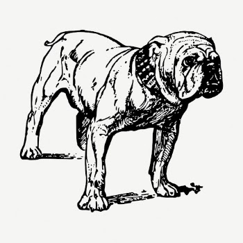 Grumpy bulldog drawing, vintage illustration | Free PSD - rawpixel
