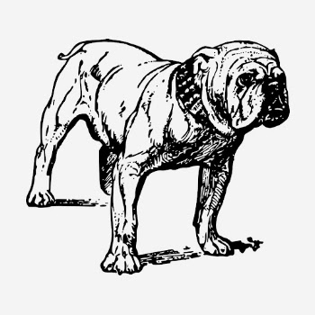 Grumpy bulldog hand drawn illustration. | Free Photo - rawpixel
