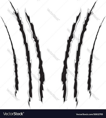Grunge Cat Scratches10 vector image