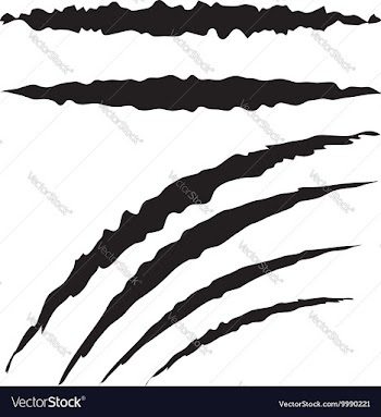 Grunge Cat Scratches2 vector image