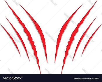 Grunge Cat Scratches6 vector image