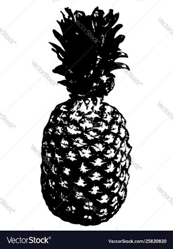 Grunge detailed pineapple vector image