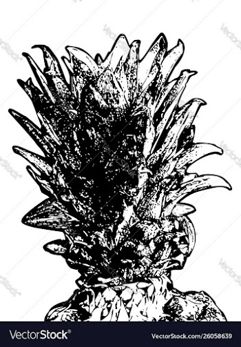 Grunge detailed pineapple vector image