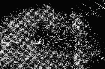Grunge distressed textured background, black | Free Vector - rawpixel