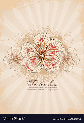 Grunge floral background vector image