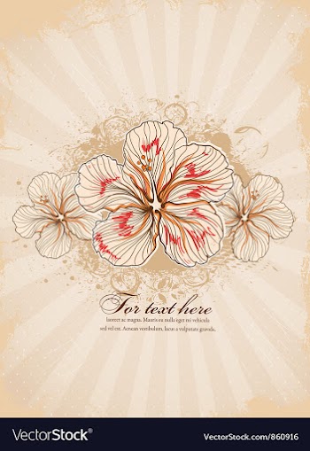 Grunge floral background vector image