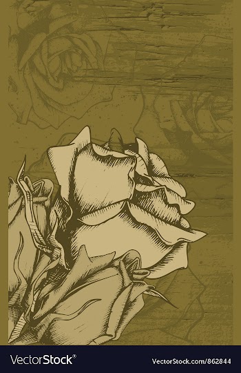 Grunge floral background vector image