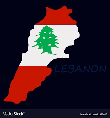 Grunge map of lebanon with lebanese flag vector image