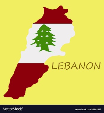 Grunge map of lebanon with lebanese flag vector image