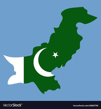 Grunge map of pakistan with pakistanian flag vector image