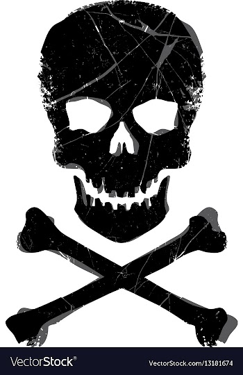 Grunge skull vector image