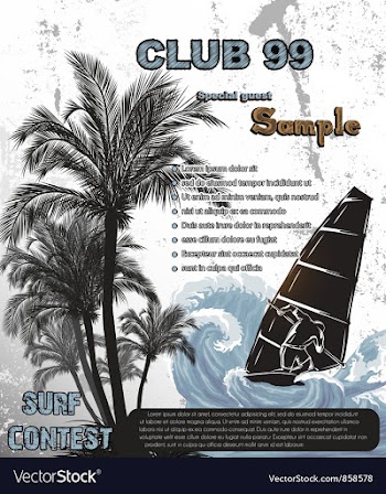 Grunge summer poster vector image