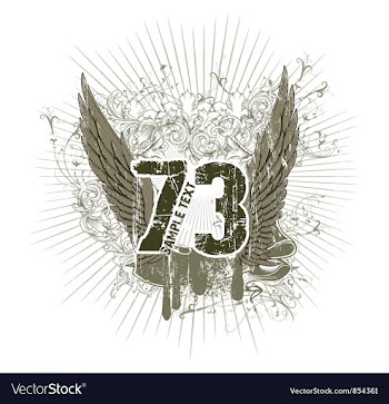 Grunge t-shirt design vector image