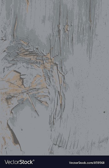 Grunge texture vector image