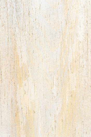 Grunge white wood texture | Free  photo - 2252685