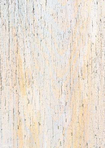 Grunge white wood texture | Free  photo - 2252760
