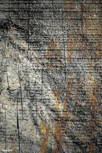 Grunge wood background | Free  illustration - 2252838
