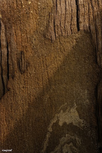 Grunge wood texture | Free  photo - 2252730