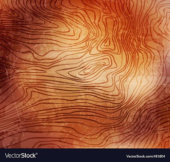 Grungy background vector image