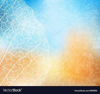 Grungy background vector image