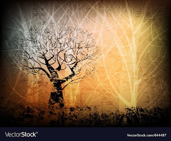 Grungy forest vector image