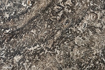 Grungy granite design for decoration | Free stock vector - 545303