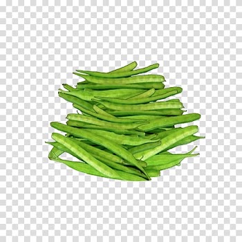 Guar gum Bean Vegetable Thoran, vegetable transparent background PNG clipart