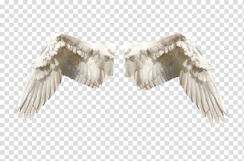 Guardian angel Fairy Flight, fairy lights transparent background PNG clipart