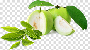 Guava Download Png