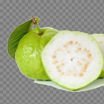Guava PNG Photo