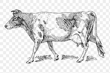 Guernsey cow png clipart, farm | Free PNG - rawpixel
