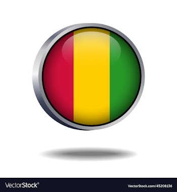 guinea flag button