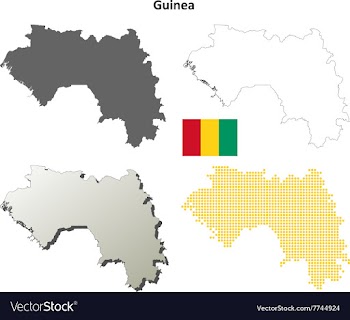 Guinea outline map set vector image