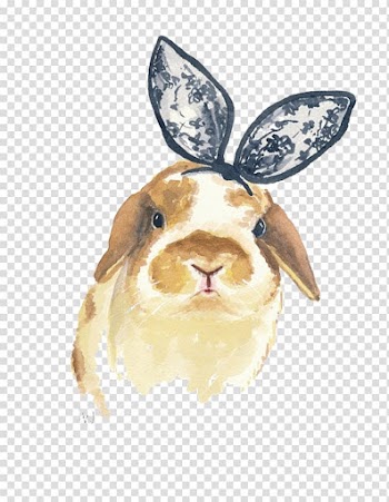 Guinea pig artwork, Holland Lop Rabbit Watercolor painting Printmaking, Lace bow Rabbit material transparent background PNG clipart