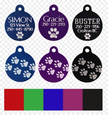 Guitar, Humbucker, Gibson Les Paul, Purple, Violet PNG