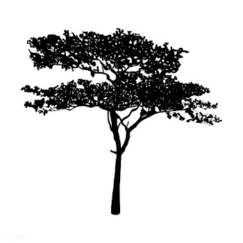 Gum tree silhouette on white background | Free stock vector - 488617