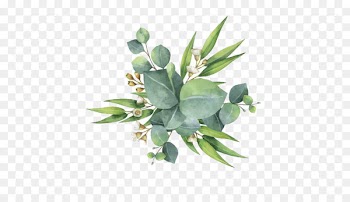 Gum trees Euclidean vector Leaf Flower - Watercolor green leaves 