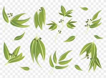 Gum Trees Leaf Euclidean Vector - Gum Trees Leaf Euclidean Vector
