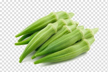 Gumbo Okra extract Ladyfinger Vegetable, vegetable transparent background PNG clipart