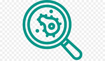 Gut Flora, Bacteria, Computer Icons, Turquoise, Circle PNG