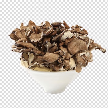Gutian County Hen-of-the-wood Mushroom Food drying Shiitake, Ash tree mushroom transparent background PNG clipart