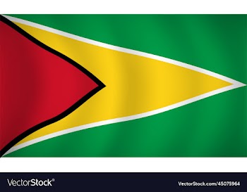 guyana flag background