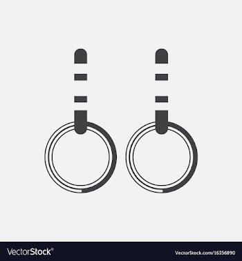 Gymnastics rings vector image