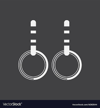 Gymnastics rings vector image
