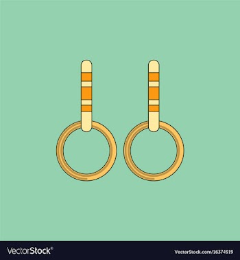 Gymnastics rings vector image