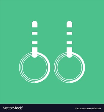 Gymnastics rings vector image